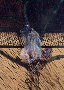 Francis Bacon, Study of a Baboon, 1953