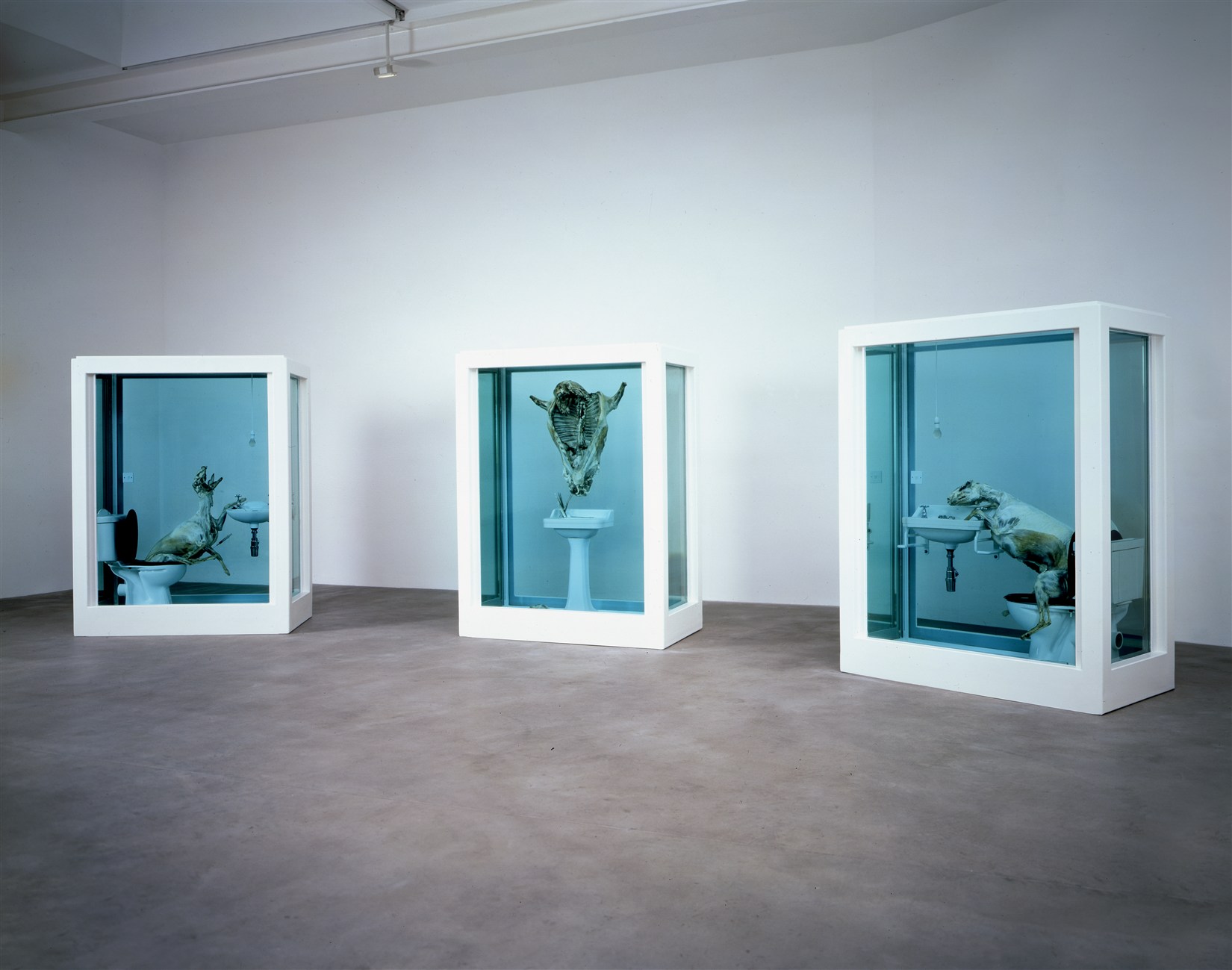 Damien Hirst, The Tranquility of Solitude, 2006. Photograph by Prudence Cuming Associates